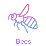 Bee products