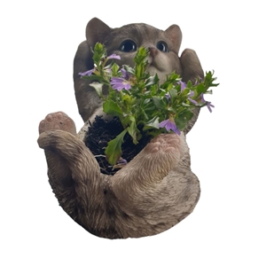 FullImage